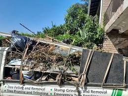 Best Moving and Downsizing Cleanouts  in Byhalia, MS